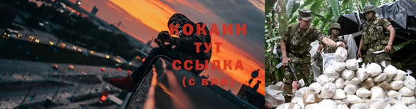 гидра Лабытнанги
